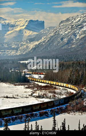 Un lungo avvolgimento Canadian National treno merci trasporto auto granella Foto Stock