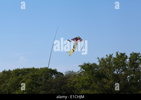 Bird spaventando Kite, con molto sottolineato gli occhi. Utilizzato per agire come un dispositivo a spaventare su un raccolto di pisello. Uso di segnalazione di pericolo i colori, gli occhi Foto Stock