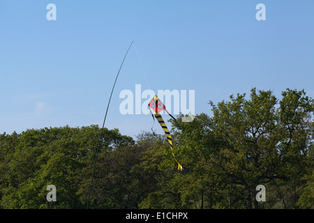 Bird spaventando Kite, con molto sottolineato gli occhi. Utilizzato per agire come un dispositivo a spaventare su un raccolto di pisello. Uso di segnalazione di pericolo i colori, gli occhi Foto Stock