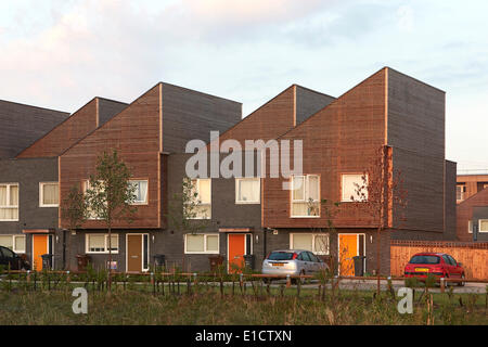 Barking Riverside Housing Development, Barking, Regno Unito. Architetto: Sheppard Robson, 2014. Mono-inclinate l'alloggiamento. Foto Stock