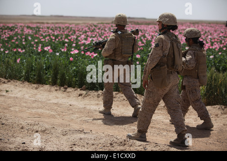 Stati Uniti Marines assegnato all'innesto femmina team (FET) di I Marine Expeditionary Force (Avanti) condurre una pattuglia a fianco Foto Stock