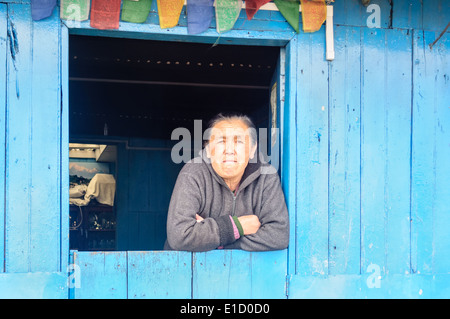 Di mezza età lady nepalese in corrispondenza della finestra rivolta verso la telecamera Foto Stock