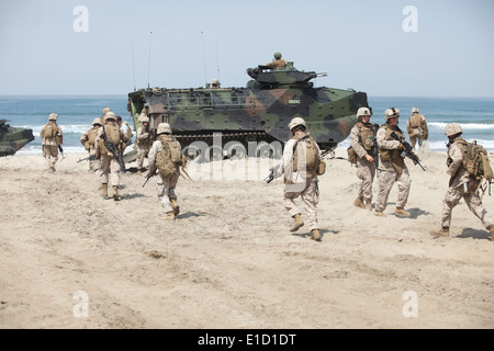 Stati Uniti Marines con 1° Battaglione, 7° Reggimento marine ritorno alla loro assalto anfibio veicoli su Camp Pendleton, California, Giu Foto Stock