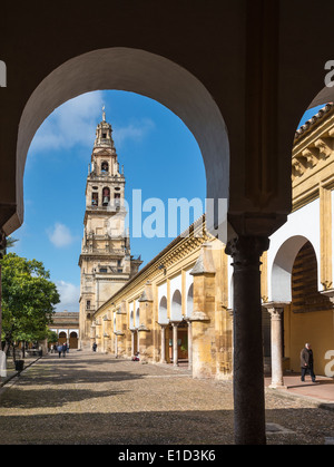 L'Alminar Tower, una volta che il minareto della Grande Moschea (La Mezquita), Patio de los Naranjas (la corte arancione), Cordoba, Spagna Foto Stock