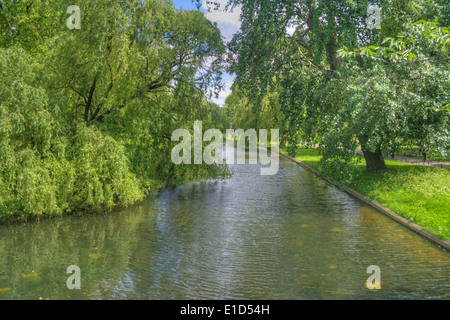 Immagine hdr di alberi a sbalzo di un lago in Regents Park London Foto Stock