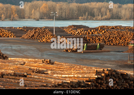 Ampio piazzale di stoccaggio per la registrazione industria esporta dal Columbia River Foto Stock