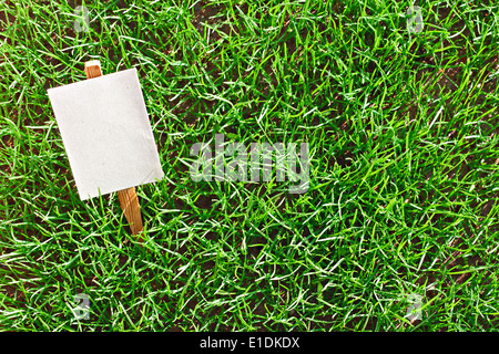 Appena seminato prato cresciute da seme con una targhetta vuota Foto Stock