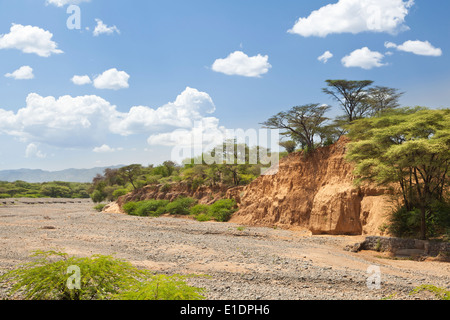 Un vuoto che il letto del fiume tra Marigat e Lake Baringo in Kenya durante la stagione secca Foto Stock