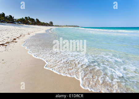 Bella spiaggia di Diani vicino a Ukunda, Kenya Foto Stock