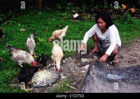 Mangiare pollo - casa tradizionale industria - PANGUANA . Dipartimento di Loreto .PERÙ Foto Stock