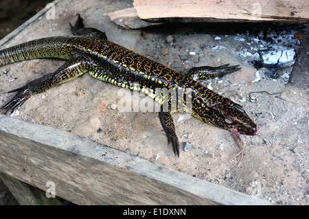 Lizard cottura - cucina tradizionale in Industria - PANGUANA . Dipartimento di Loreto .PERÙ Foto Stock