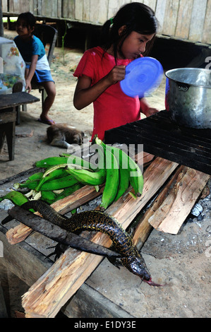 Lizard cottura - cucina tradizionale in Industria - PANGUANA . Dipartimento di Loreto .PERÙ Foto Stock