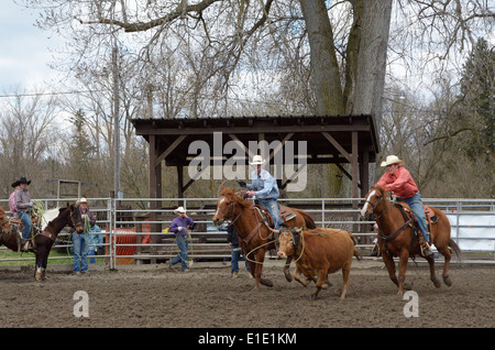 Due ragazzi di competere in roping i vitelli in Teenage Rodeo. Foto Stock