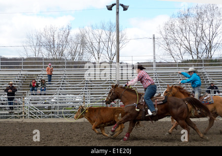 Due ragazzi di competere in roping i vitelli in Teenage Rodeo. Foto Stock