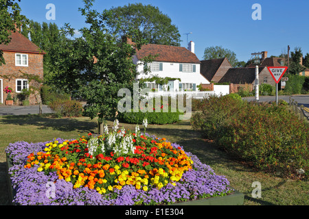 Fiori sul villaggio verde, Kent, England, Regno Unito Foto Stock