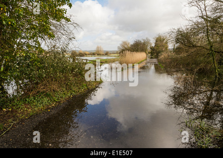 Inverno tempeste e inondazioni influiscono Arundel in West Sussex. Foto Stock