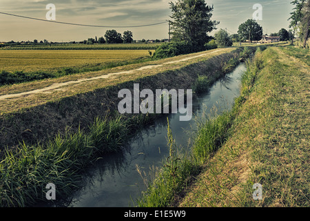 Camminando tra alberi e piante lungo un canale di acqua nella campagna italiana Foto Stock