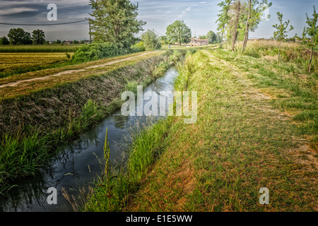 Camminando tra alberi e piante lungo un canale di acqua nella campagna italiana Foto Stock