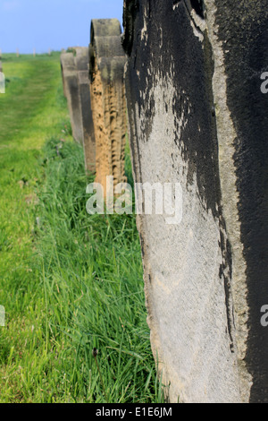 Fila di antiche tombe in un cimitero rientranti nella distanza. Foto Stock