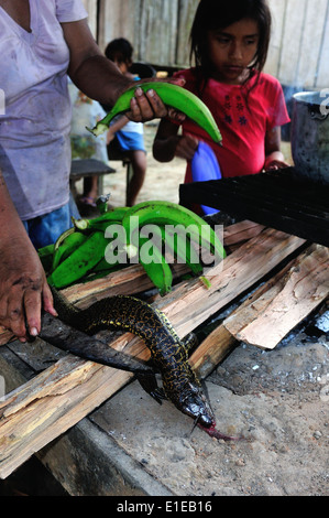 Lizard cottura - cucina tradizionale in Industria - PANGUANA . Dipartimento di Loreto .PERÙ Foto Stock
