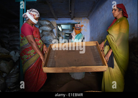 India Kerala State, Fort Cochin o Kochi, area di spezie, lavoratore nel magazzino di tè Foto Stock