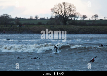 Surfisti cavalcare il Severn onda alesaggio come passa Scandicci ha nel Gloucestershire. Il 1 febbraio 2014. Foto Stock