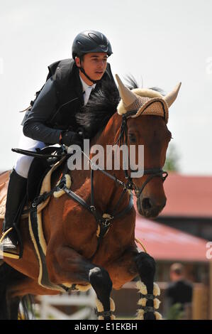 Bratislava-Zahorska Bystrica, Slovacchia. Il 1 giugno 2014. Fulop Juhos (SVK) su Starlet salti. Una tre giorni di torneo LICA RS del Team Grand Prix - Slovak show jumping cup è stato tenuto in Braitslava-Zahorska, Bystrica Slovacchia su 30.05.14-1.06.14. Credito: Dmitry Argunov/Alamy Live News Foto Stock