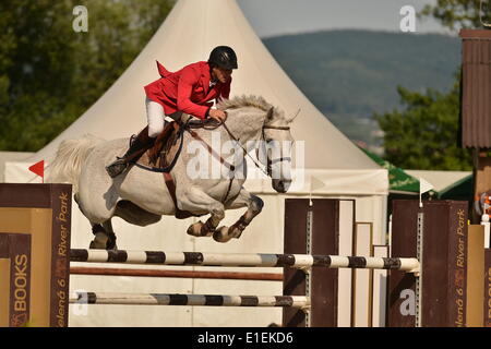 Bratislava-Zahorska Bystrica, Slovacchia. Il 1 giugno 2014. Kristof Hegedus (SVK) su Cantona. Una tre giorni di torneo LICA RS del Team Grand Prix - Slovak show jumping cup è stato tenuto in Braitslava-Zahorska, Bystrica Slovacchia su 30.05.14-1.06.14. Credito: Dmitry Argunov/Alamy Live News Foto Stock