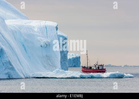 Un iceberg commerciale tour fra enormi iceberg partorito dal ghiacciaio Ilulissat, sito UNESCO, Ilulissat Foto Stock