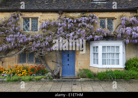 Il Glicine clad cotswold cottage preso dal sentiero su High Street e Broadway, Worcestershire, England, Regno Unito, Europa Foto Stock