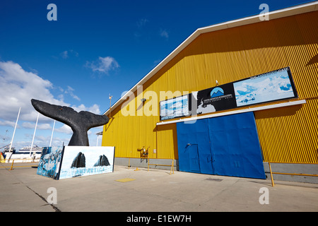 Fantoccio Humpback Whale modello di coda e il terminale passeggeri a Punta Arenas port Cile Foto Stock