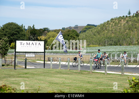 Te Mata Wine Estate a Havalock Nord in Hawkes Bay regione Nuova Zelanda ciclisti sulla Gita del Vigneto in visita Foto Stock