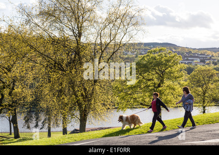 Due donne a piedi un cane, Cyfartha Park, Merthyr Tydfil, Wales, Regno Unito Foto Stock