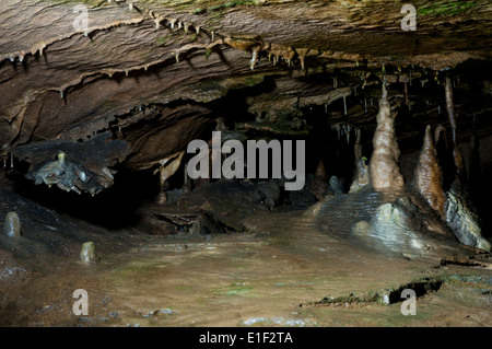 Stalattiti e stalagmiti di calcare formazioni di roccia nella grotta Ingleborough, Yorkshire Dales National Park, North Yorkshire. Marzo. Foto Stock