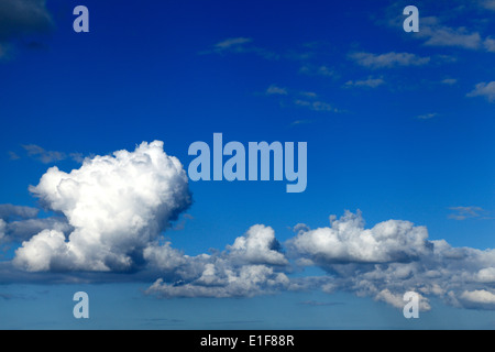 Il Cumulus bianco delle nuvole, cielo blu cielo cloud UK Foto Stock