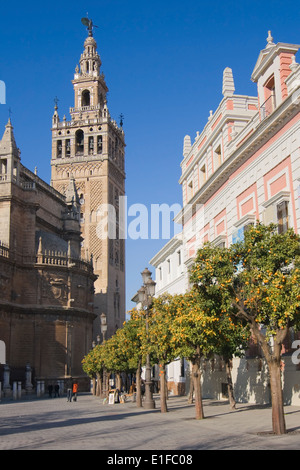 La Giralda, un ex minareto che è stato convertito in una torre campanaria per la Cattedrale di Siviglia, Spagna. Foto Stock