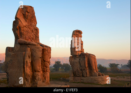 Colosso di Memnon, scolpiti per rappresentare la XVIII dinastia faraone Amenhotep III, a ovest del Fiume Nilo, Tebe, Egitto Foto Stock