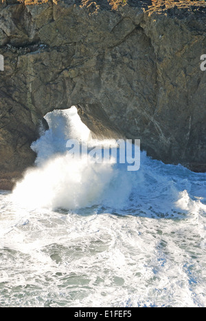 Arch Rock nella Samuel H. Boardman membro Scenic Area corridoio tra Brookings-Harbor e Spiaggia di oro o lungo la Hwy 10. Foto Stock