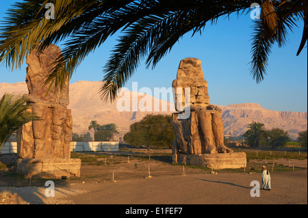 Colosso di Memnon, scolpiti per rappresentare la XVIII dinastia faraone Amenhotep III, a ovest del Fiume Nilo, Tebe, Egitto Foto Stock