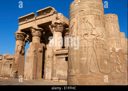 L'Egitto, la valle del Nilo, crociera sul fiume Nilo tra Luxor e Aswan, Kom Ombo, Tempio di Sobek e Horus Foto Stock