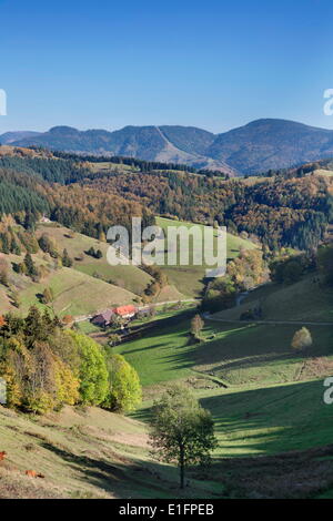 Valle del Wiesental, Foresta Nera, Baden Wurttemberg, Germania, Europa Foto Stock