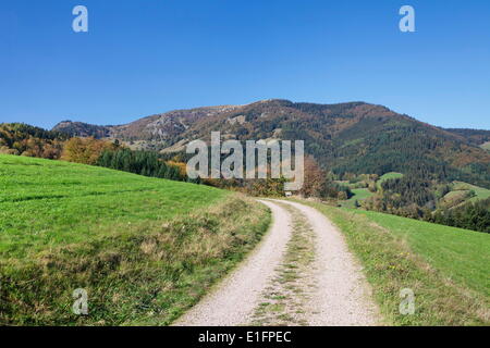 Il percorso che conduce alla montagna Belchen, Foresta Nera, Baden Wurttemberg, Germania, Europa Foto Stock