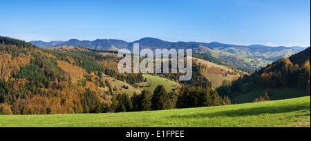 Valle del Wiesental, Foresta Nera, Baden Wurttemberg, Germania, Europa Foto Stock