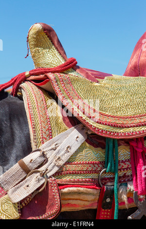 Dettaglio di decorata tradizionalmente Arabian Barb cavalli effettuando in corrispondenza di una fantasia vicino a Rabat in Marocco.
