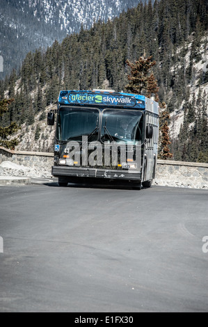 Il nuovo di zecca (Maggio 2014) il Glacier Skywalk piattaforma di osservazione 918 piedi sopra il piano della valle. Jasper, Alberta. Canada Foto Stock