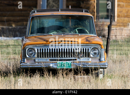 Vecchio Wagoneer Jeep in seduta le erbacce in un ranch del Colorado Foto Stock