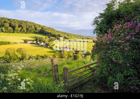 Vista della Valle Slad, Stroud, Gloucestershire in estate; Foto Stock