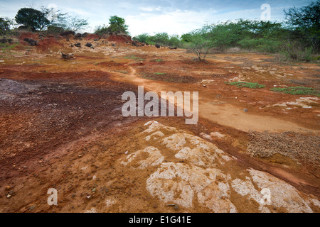 Erosione del suolo e la roccia vulcanica in Sarigua national park (deserto), Herrera provincia, Repubblica di Panama. Foto Stock