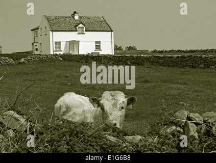 Un cottage in Kilronan,Isole Aran,l'Irlanda Foto Stock