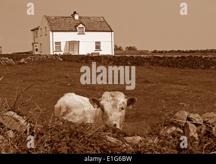 Una casa in Kilronan sulle Isole Aran dell Irlanda Foto Stock